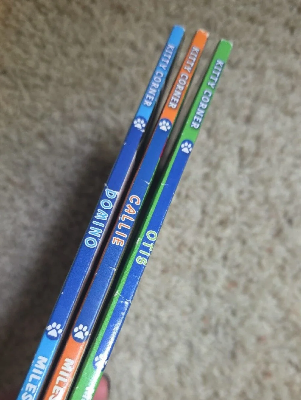 Scholastic Kitty Corner: Otis, Callie, & Domino Book Set of 3 Paperback Books